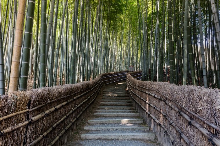 51 Arashiyama, adashino nenbutsu-ji tempel.jpg